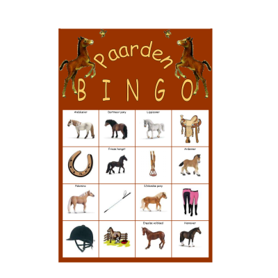 Bingo Paarden
