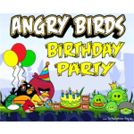 Draaiboek Angry Birds feestje