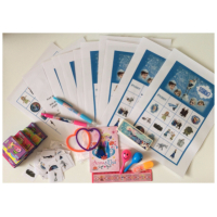 Kant en klaar bingopakket Frozen