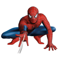 Draaiboek Spiderman feestje