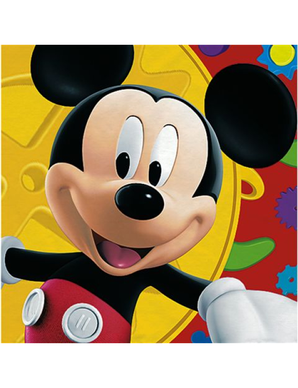 Draaiboek Mickey Mouse feestje Draaiboek Mickey Mouse feestje