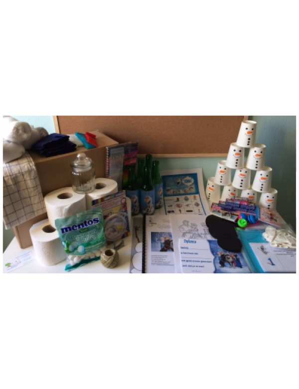 Kant en klaar DeLuxe pakket Frozen