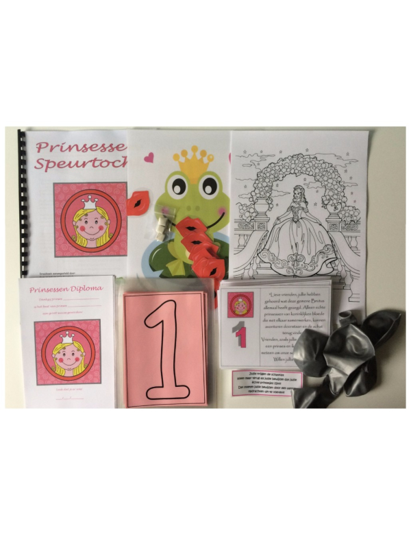 Kant en klaar speurtochtpakket Prinsessen