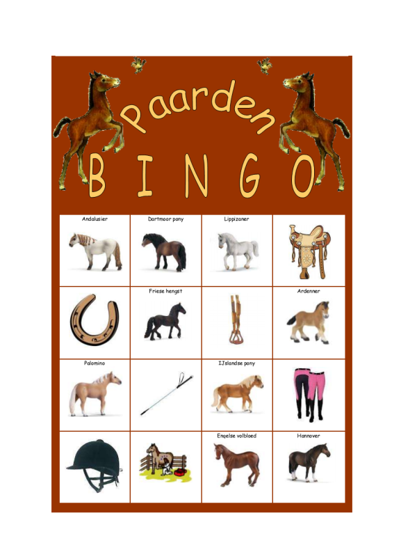 Bingo Paarden